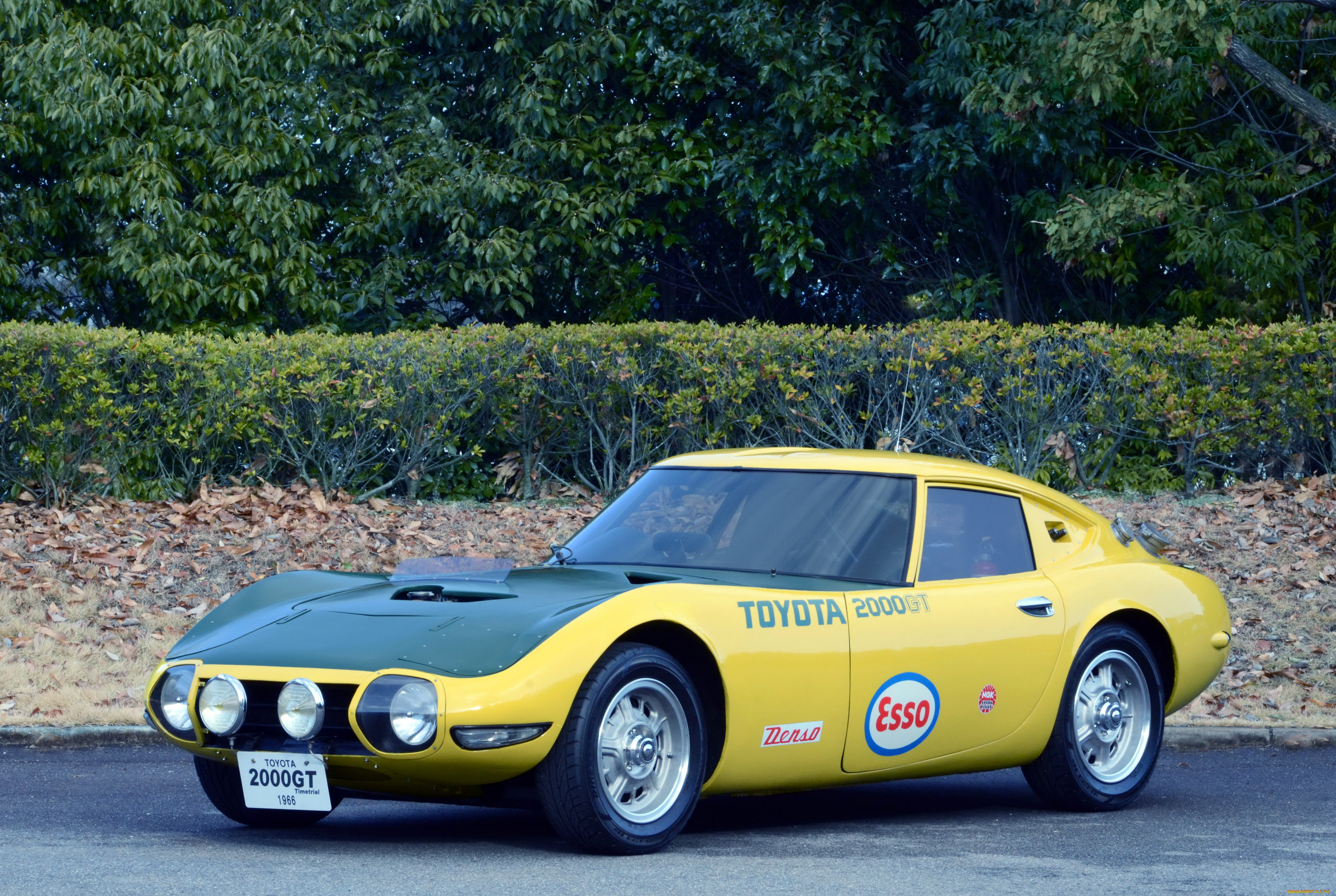 , toyota